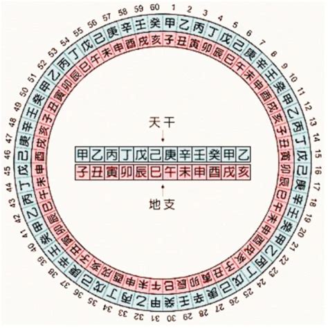 葵卯 五行|天干地支五行对照表